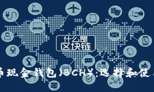 比特币现金钱包（BCH）：选择和使用指南