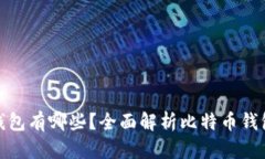 存储比特币的钱包有哪些？全面解析比特币钱包