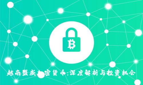 越南盛威加密货币：深度解析与投资机会