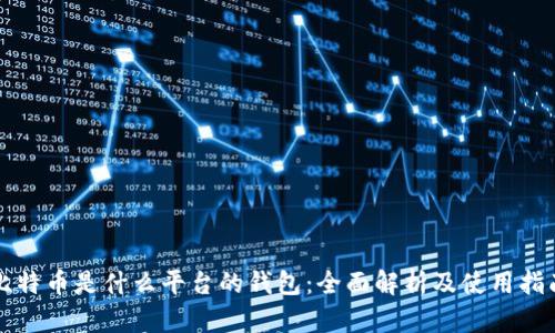 比特币是什么平台的钱包：全面解析及使用指南