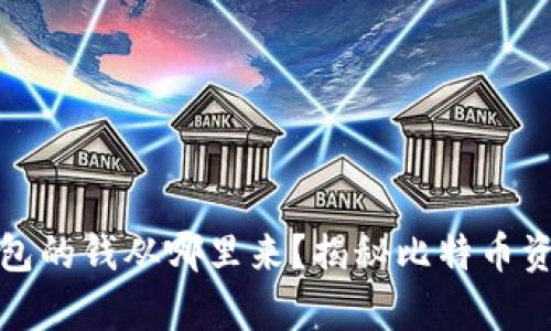 和关键词
比特币数字钱包的钱从哪里来？揭秘比特币资金来源的真相