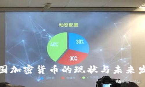 外国加密货币的现状与未来发展