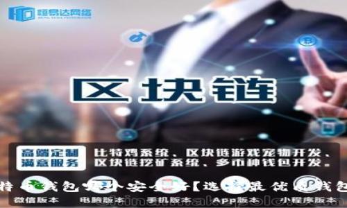 : 比特币钱包哪个安全好？选择最优质钱包指南