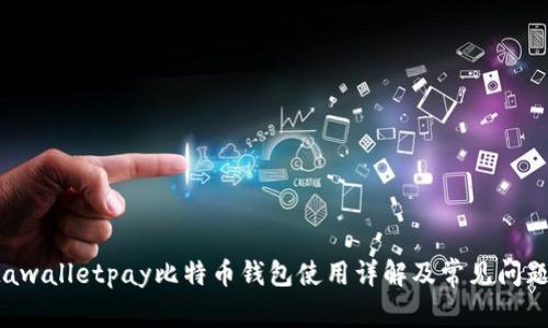 Instawalletpay比特币钱包使用详解及常见问题解答
