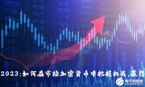 探秘2023：如何在市场加密货币中把握机遇，赢得财富