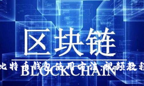 轻松掌握比特币钱包使用方法：视频教程全面解析