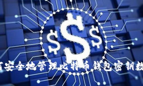 如何安全地管理比特币钱包密钥数据?