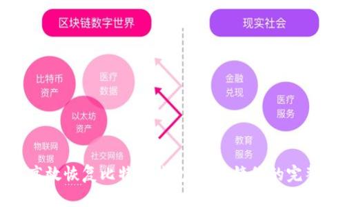 如何高效恢复比特币钱包:底层镜像的完整指南