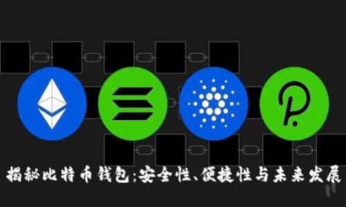 揭秘比特币钱包：安全性、便捷性与未来发展