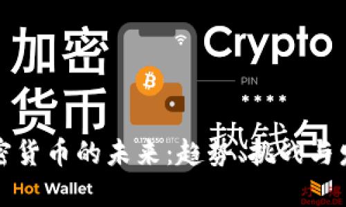 揭开加密货币的未来:趋势、挑战与发展规划