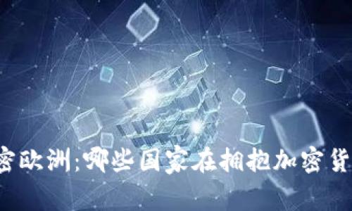 解密欧洲:哪些国家在拥抱加密货币?