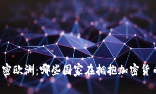 解密欧洲:哪些国家在拥抱加密货币?