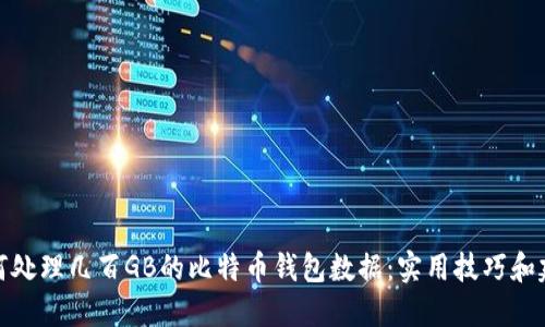 如何处理几百GB的比特币钱包数据:实用技巧和建议