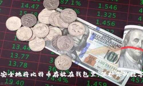 如何安全地将比特币存放在钱包里,保护你的数字资产
