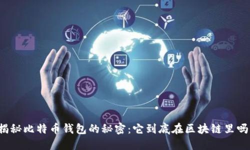 揭秘比特币钱包的秘密：它到底在区块链里吗？