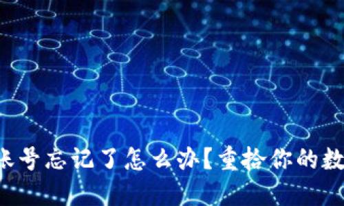 比特币钱包账号忘记了怎么办？重拾你的数字资产之路！