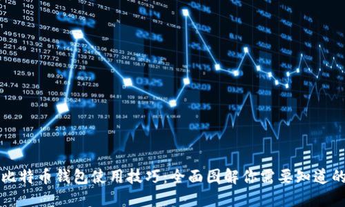 掌握比特币钱包使用技巧：全面图解你需要知道的一切
