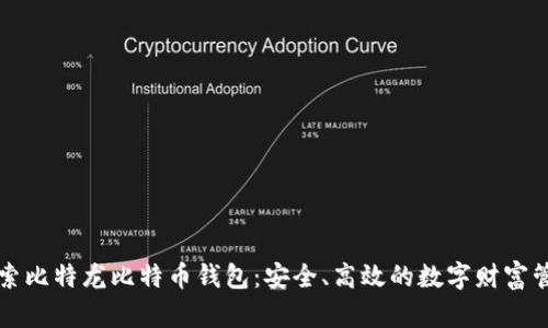 深入探索比特龙比特币钱包:安全、高效的数字财富管理工具