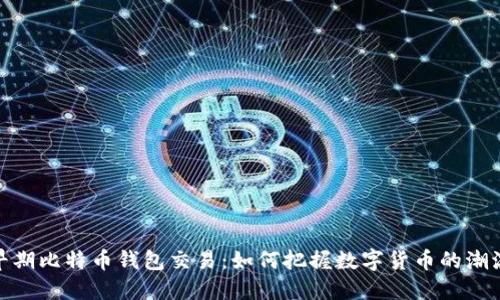 揭秘早期比特币钱包交易:如何把握数字货币的潮流机遇