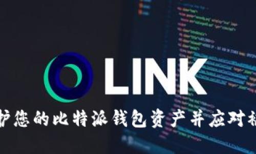 如何保护您的比特派钱包资产并应对被盗情况