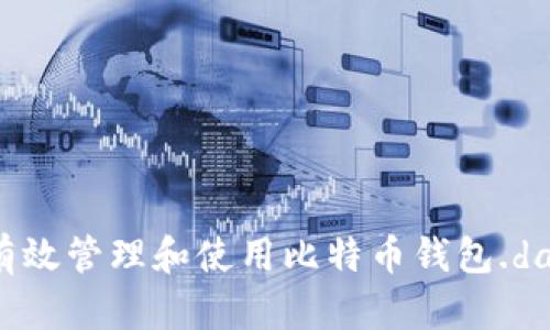 如何有效管理和使用比特币钱包.dat文件