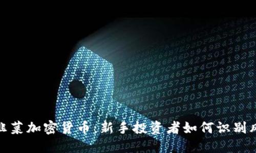 深入探索韭菜加密货币:新手投资者如何识别风险与机遇