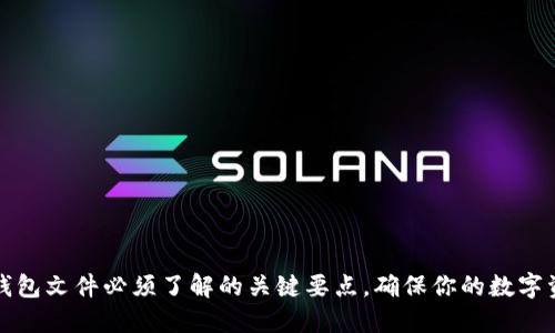 比特币钱包文件必须了解的关键要点,确保你的数字资产安全