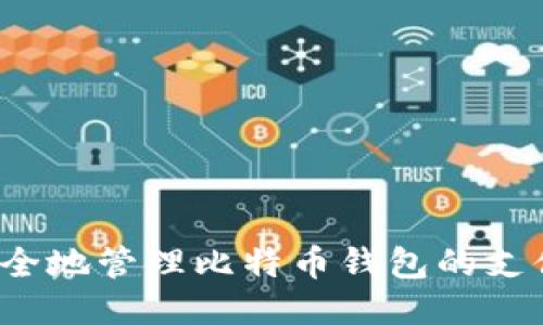 如何安全地管理比特币钱包的支付私钥?
