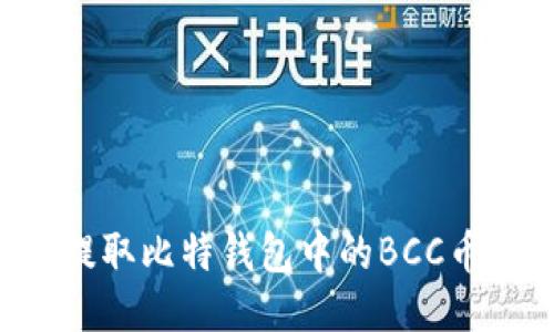 如何轻松提取比特钱包中的BCC币：详尽指南