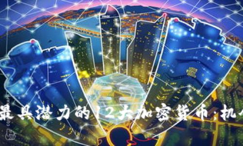 揭示2023年最具潜力的12大加密货币:机会与挑战并存