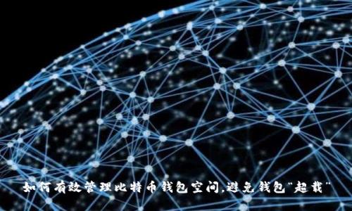 如何有效管理比特币钱包空间,避免钱包“超载”