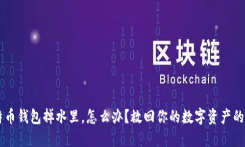 手机比特币钱包掉水里，怎么办？救回你的数字资产的实用指南