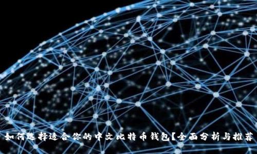 如何选择适合你的中文比特币钱包?全面分析与推荐