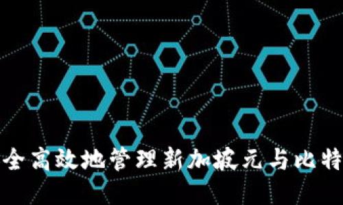 如何安全高效地管理新加坡元与比特币钱包
