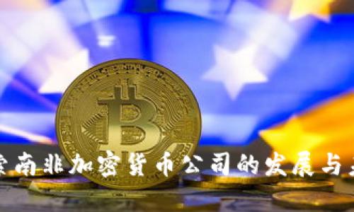 探索南非加密货币公司的发展与未来