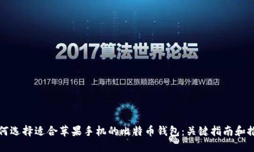 如何选择适合苹果手机的比特币钱包:关键指南和推荐
