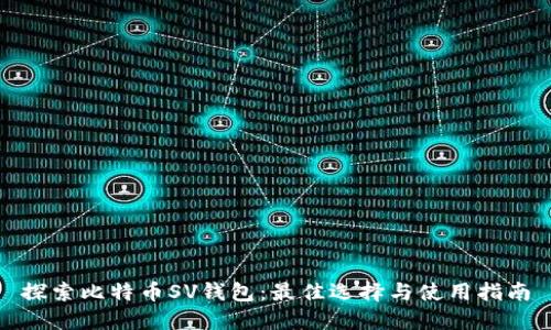 探索比特币SV钱包:最佳选择与使用指南