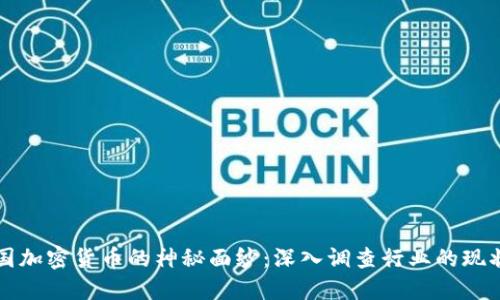 揭开美国加密货币的神秘面纱:深入调查行业的现状与未来
