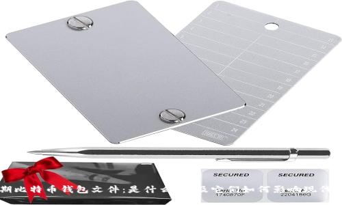 揭秘早期比特币钱包文件：是什么，以及它们如何影响现代加密货币
