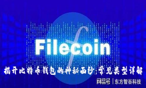 揭开比特币钱包的神秘面纱：常见类型详解