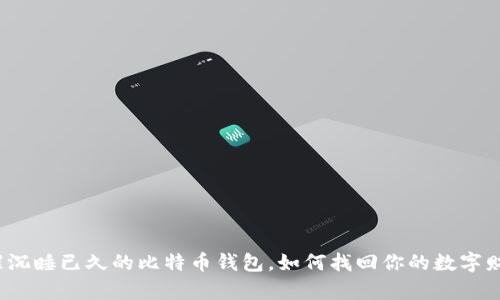 唤醒沉睡已久的比特币钱包，如何找回你的数字财富？