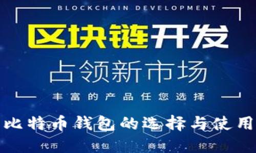 探索比特币钱包的选择与使用指南