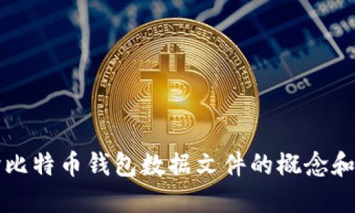 深入探讨比特币钱包数据文件的概念和管理方式