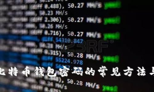 破解比特币钱包密码的常见方法与建议