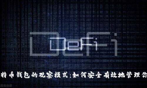 深入探讨比特币钱包的观察模式:如何安全有效地管理你的数字资产