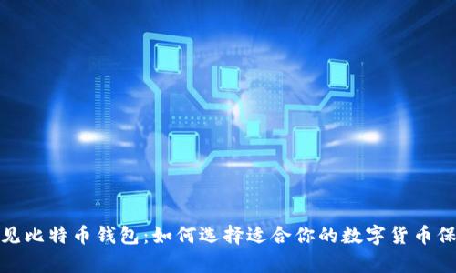 探索常见比特币钱包:如何选择适合你的数字货币保管方案