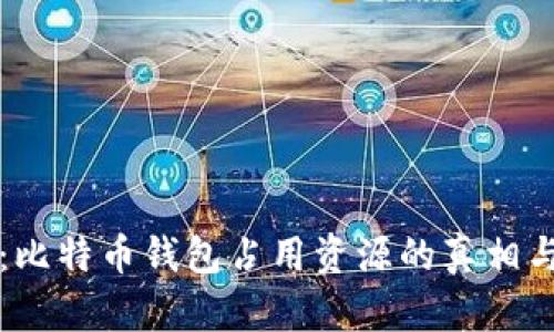 深度解析：比特币钱包占用资源的真相与解决方案