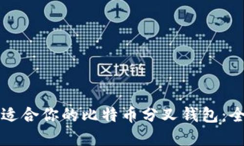 如何选择适合你的比特币分叉钱包：全方位指南