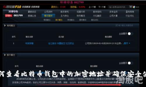 如何查看比特币钱包中的加密地址并确保安全使用
