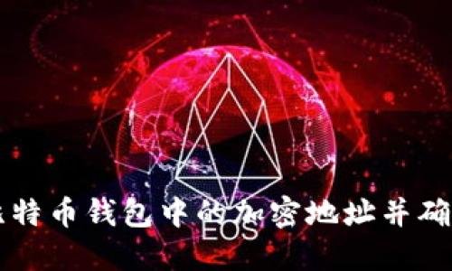 如何查看比特币钱包中的加密地址并确保安全使用